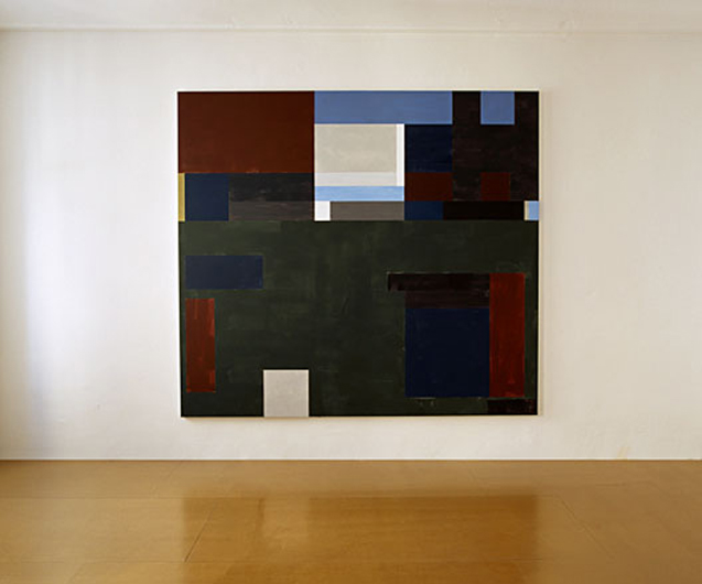 2004 &middot; acrylic, cotton duck &middot; 240 x 256 cm